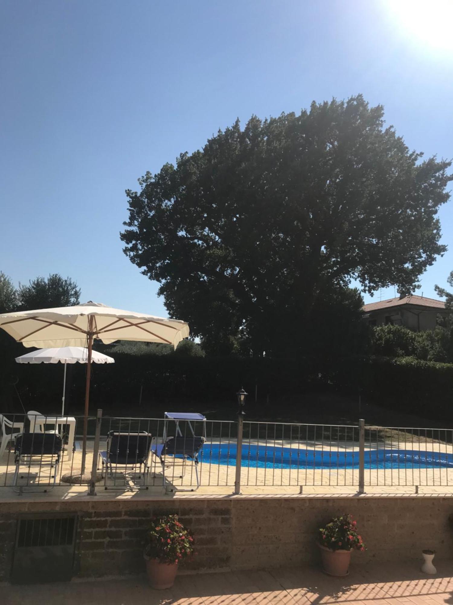 Agriturismo Cerquatonda Montalto delle Marche Luaran gambar