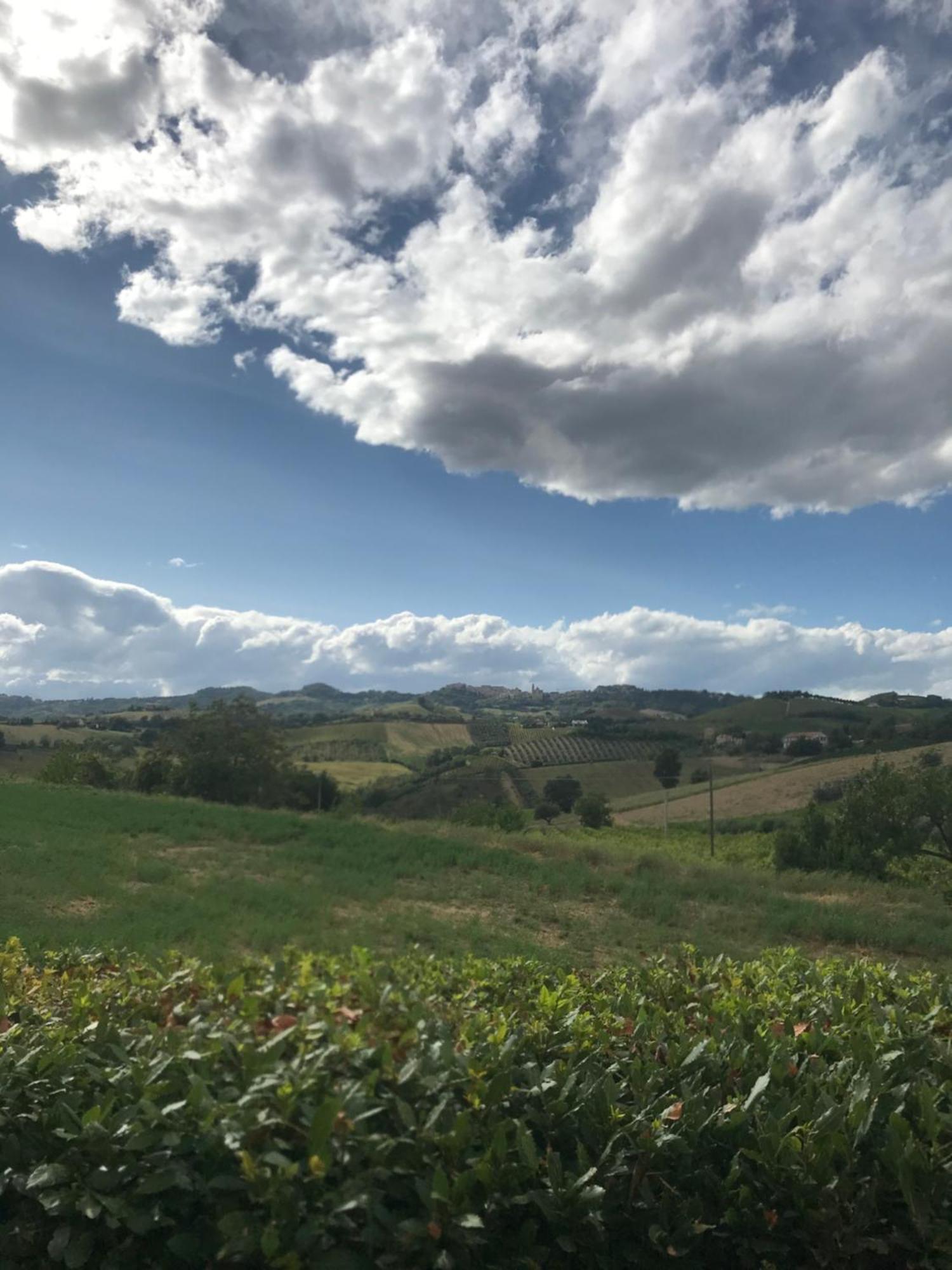 Agriturismo Cerquatonda Montalto delle Marche Luaran gambar