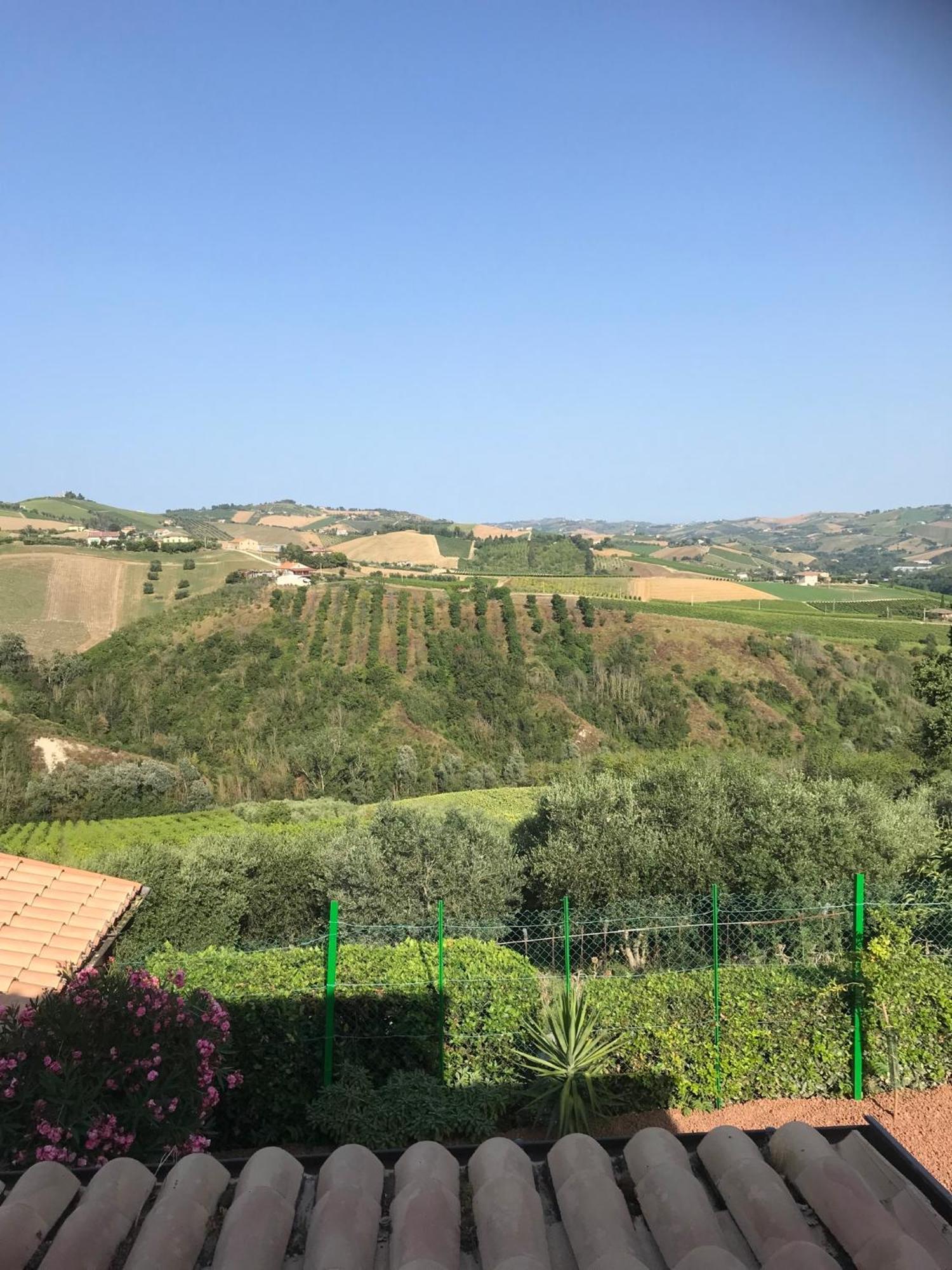 Agriturismo Cerquatonda Montalto delle Marche Luaran gambar