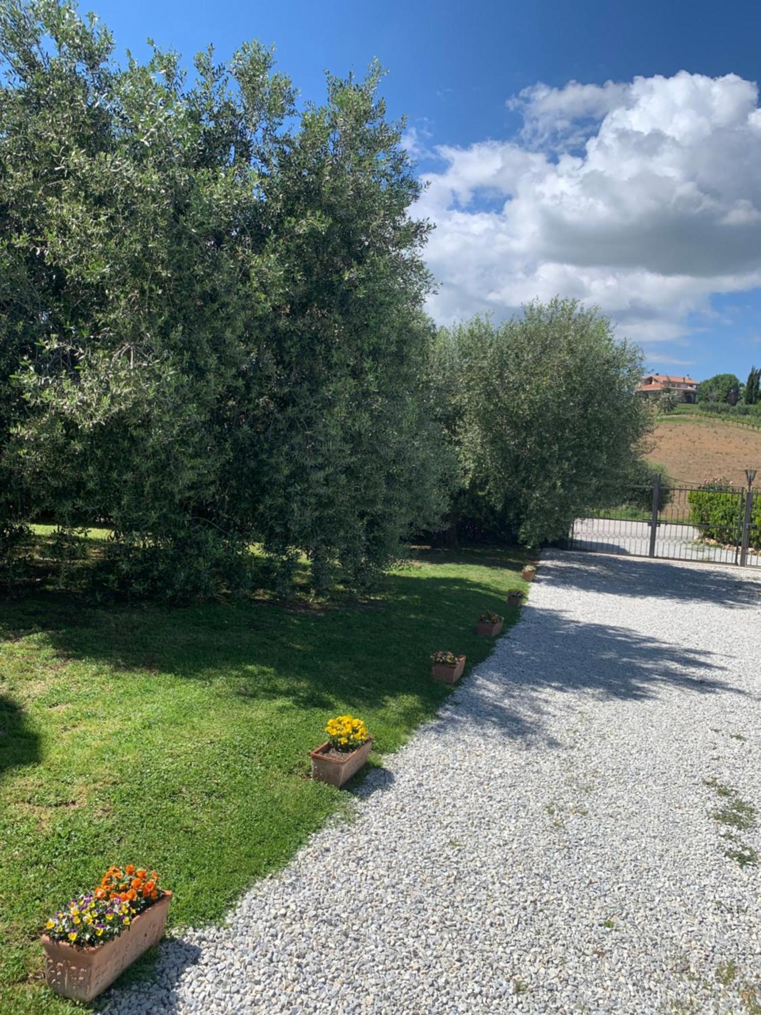 Agriturismo Cerquatonda Montalto delle Marche Luaran gambar